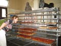 Liguria Bakery - Now Which Focaccia is MINE?