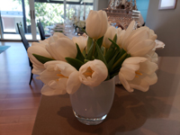 photo05
